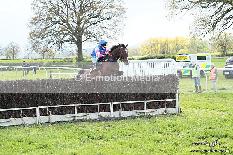 PtP 180426 1152 - Worcestershire Hunt PtP Chaddesley Corbett 18/04/26