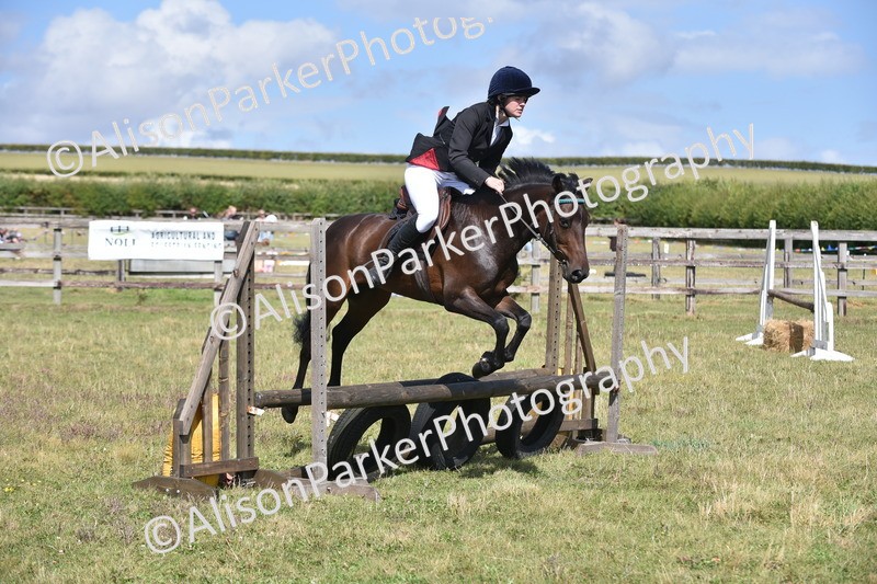 20250831-4028 - Class 12 - Working Hunter Pony 14.2hh and Under