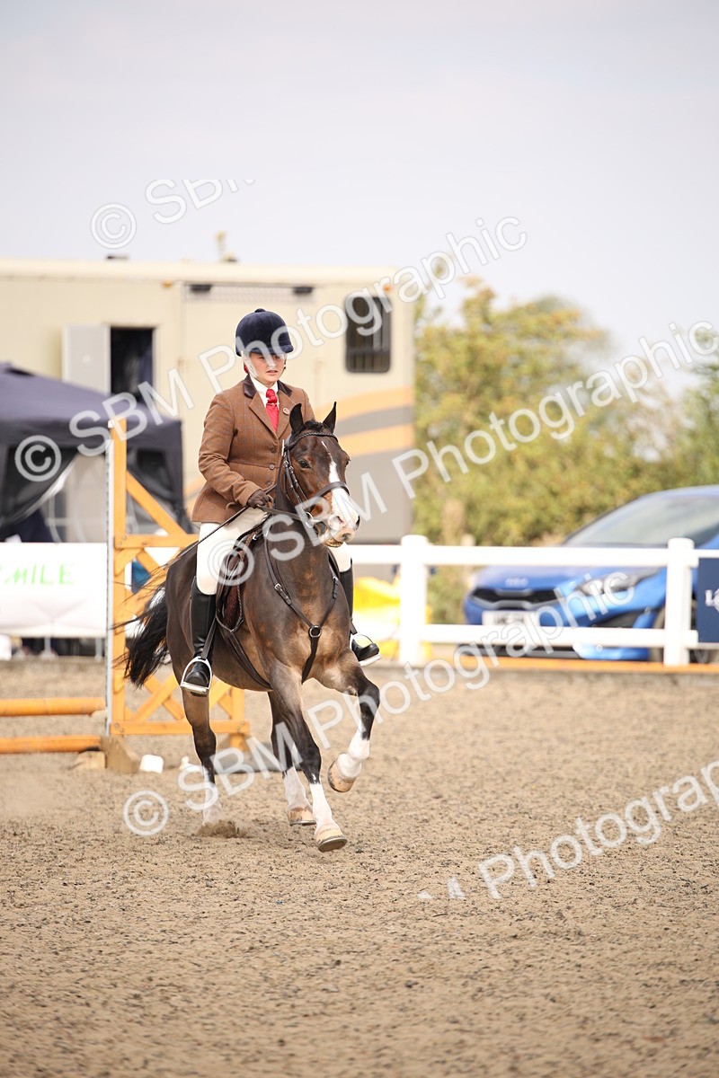 SBM_13566 - Class 406b - Working Veteran 50cm (20+)