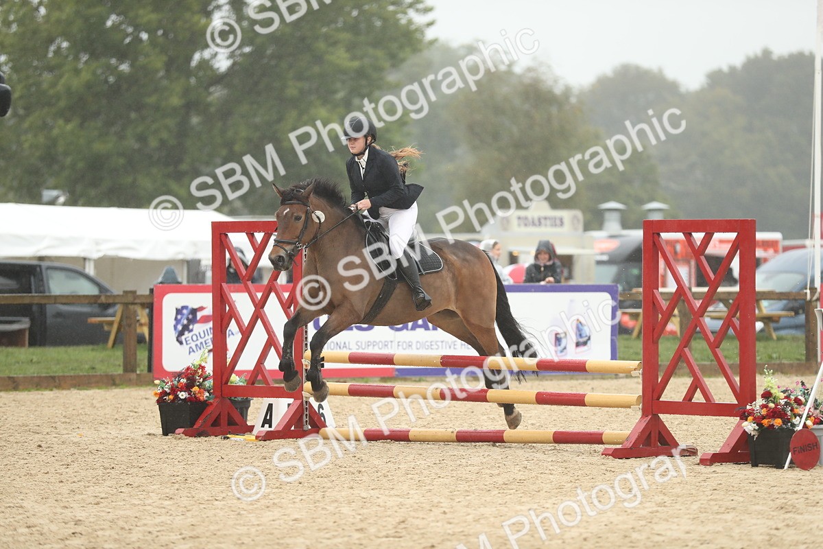 SBM_74080 - J16 - Junior Pony 75cm Championship