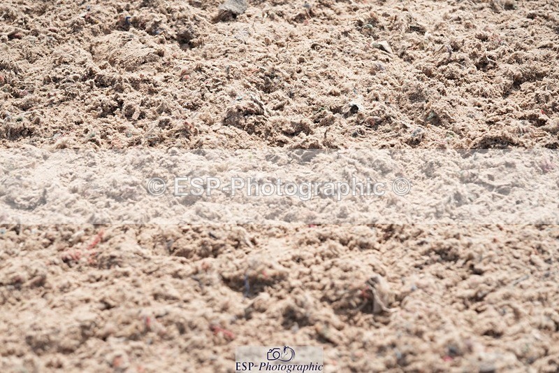 250815-134037-01249 - 1.30pm Presentations