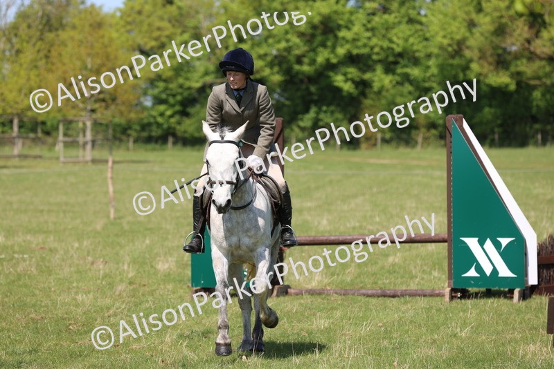 20250427-2601 - Class 20 - Working Hunter Ponies