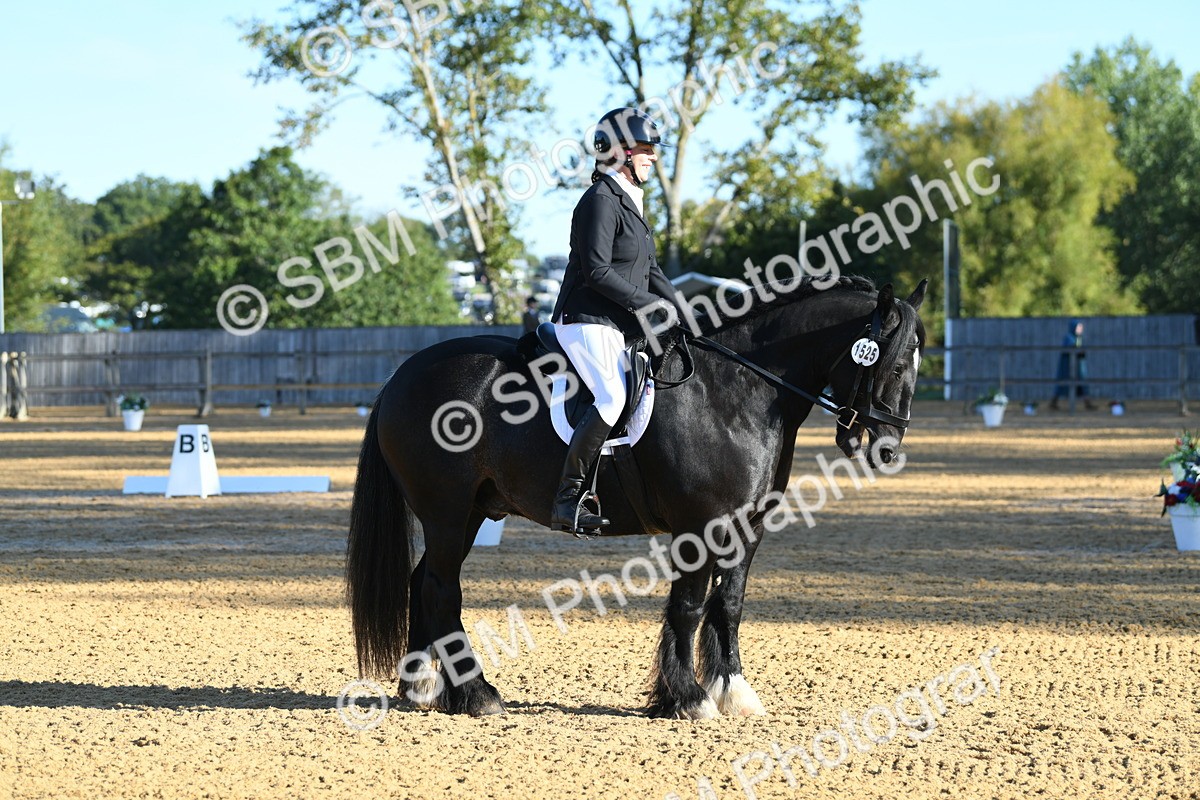 SBM_14521 - D4 - Small Tour Championship - Intro B