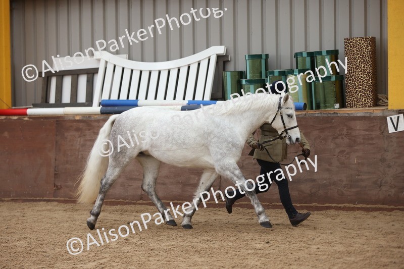 20251109-0892 - Class 26 - 2 and 4 Year Olds