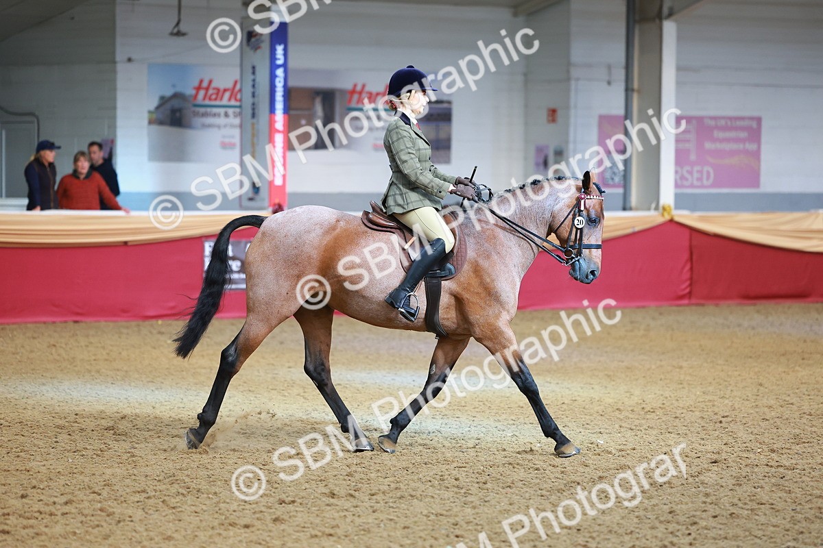 SBM_09526 - Class 102 - HOYS Veteran Qualifier - Ridden Veteran
