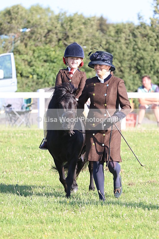 JPP_0862 - Class 16: Cornish Combination Leading Rein