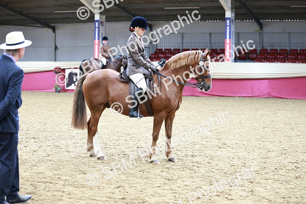 SBM_02228 - Class 4A - Area Ridden Diamond