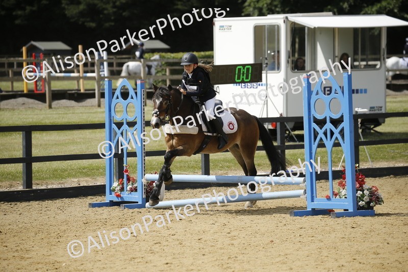 20250622-3897 - 50cm