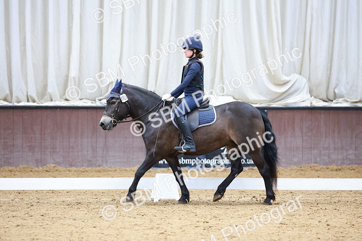 1I0A0698 - Class 3-6 - Prelim 1-Novice 2