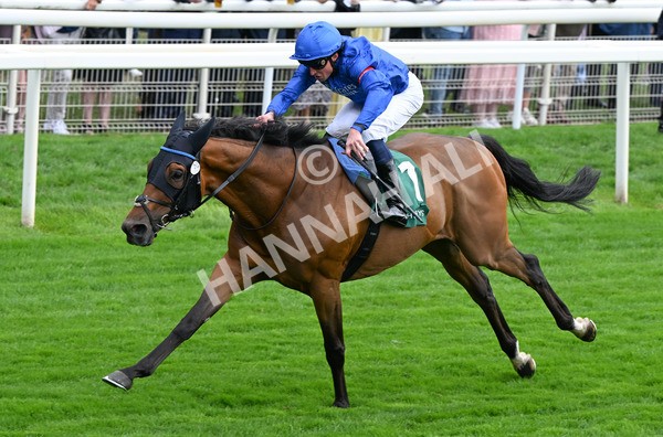 220825-063 Trawlerman - Race 2 2.25pm Weatherbys Lonsdale Cup Stakes