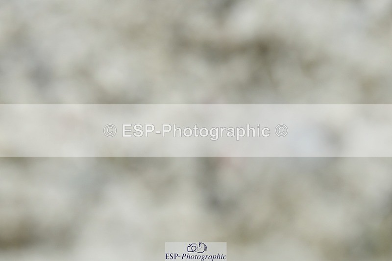 230623-111753-00418 - Cls 3 Novice 23 Start to 11.55 break