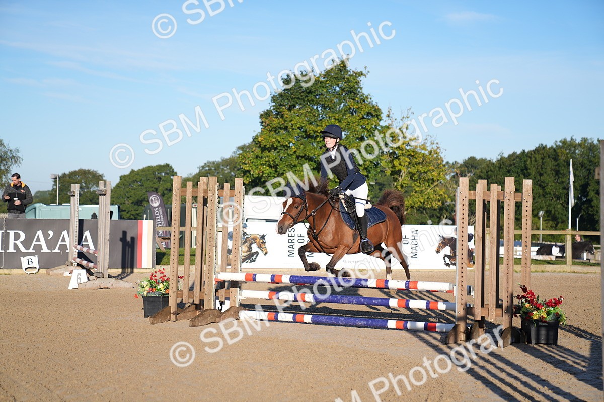 SBM_13941 - J59 - Clear Round - 65cm