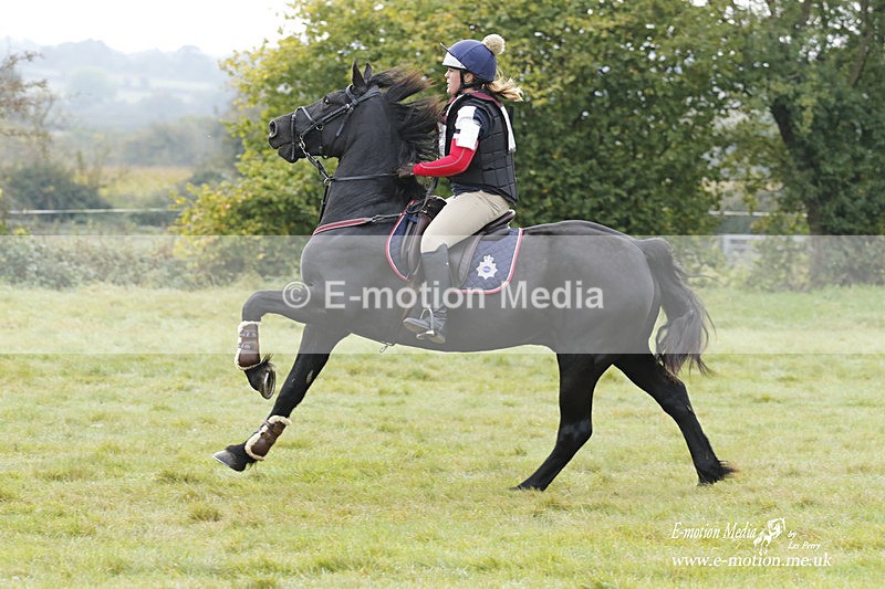  WWHT 171021 0955 - Open Novice (0.80m)  17/10/21