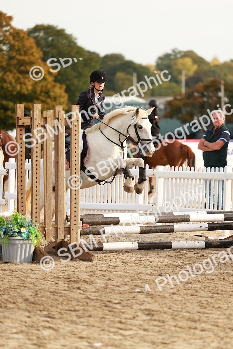 SBM_55670 - J11 - Junior Pony 50cm Championship