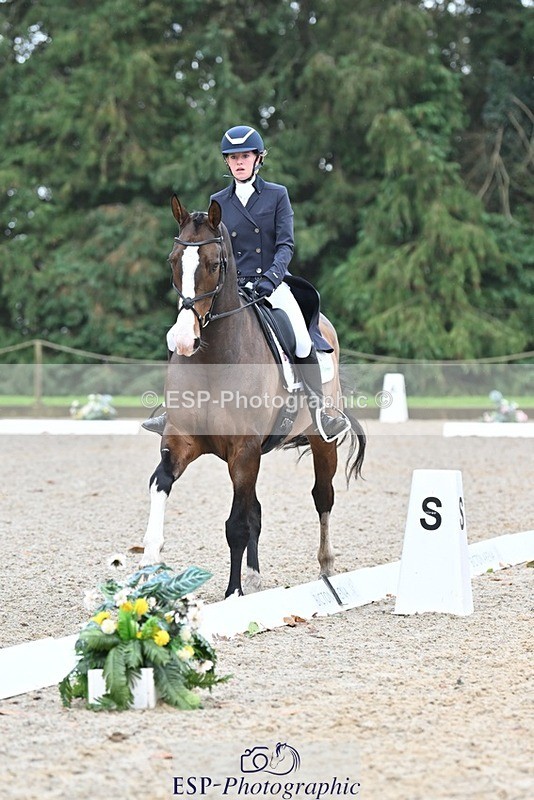 231019-104853-01978 - 103-BEECH.HILL.KIKO.CLOVER-Harriet.Blair-DR