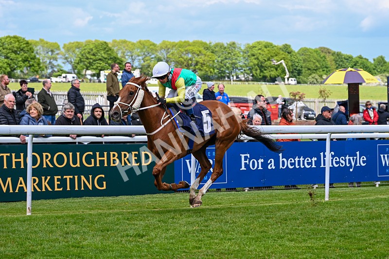 120526-Race 1-Lovers Leap-7177 - Race 1 2.30pm Clearanswer Call Centres Maiden Fillies' Stakes