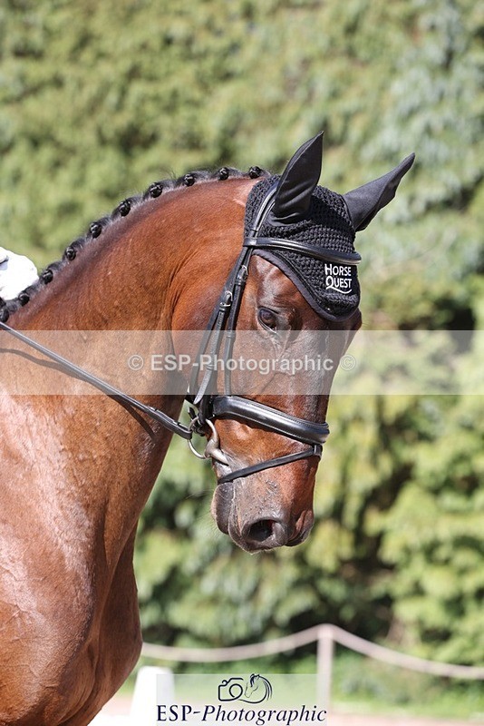 230526-171101-07919 - 176-TENZ-Will_Rawlin-WEDTrotUp+DR