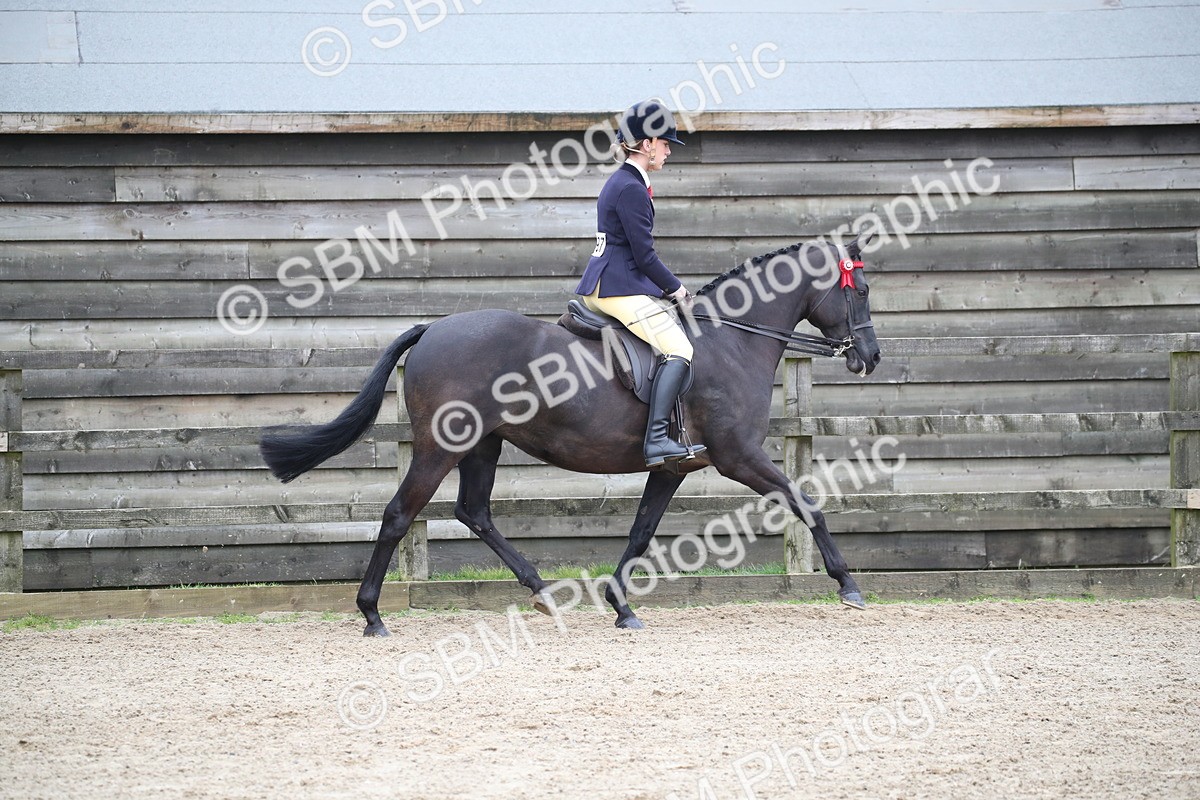 SBM_004703 - Class 5-9 - NPS In Hand-Show Hunter-Intermediate Ridden Inc Ridden Championship
