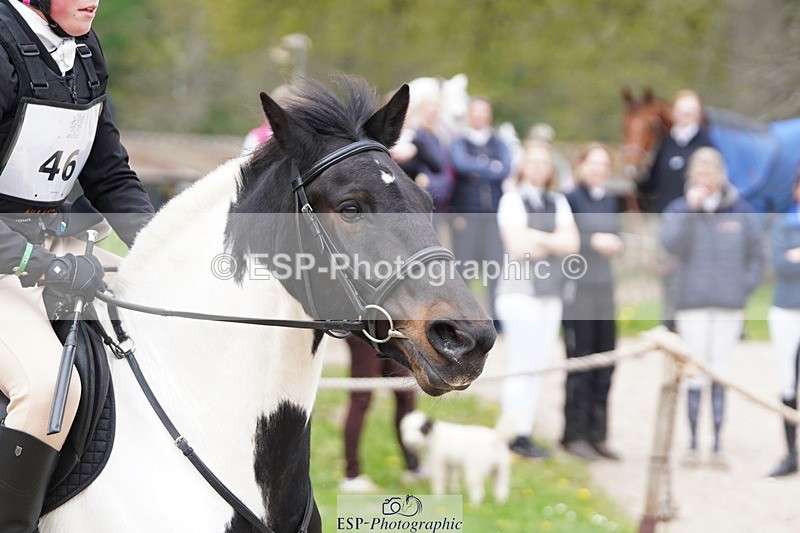 250420A-111256-00498 - Cls 03 80cm