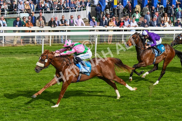 170523-Race 6-Mon Na Slieve-0800 - Race 6 4.45pm British EBF 40th Anniversary Novice Stakes