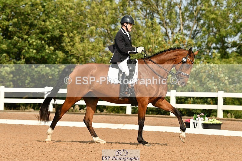 250817-101636-07810 - 153-Gary.ShimminKashmir.MMXXVIII