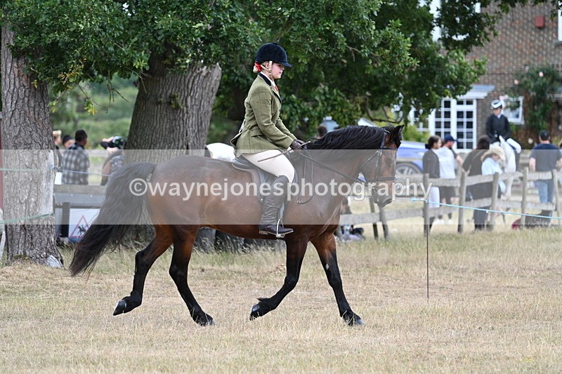 WJ7_0596 - Class 6 Ridden Mountain and Moorland