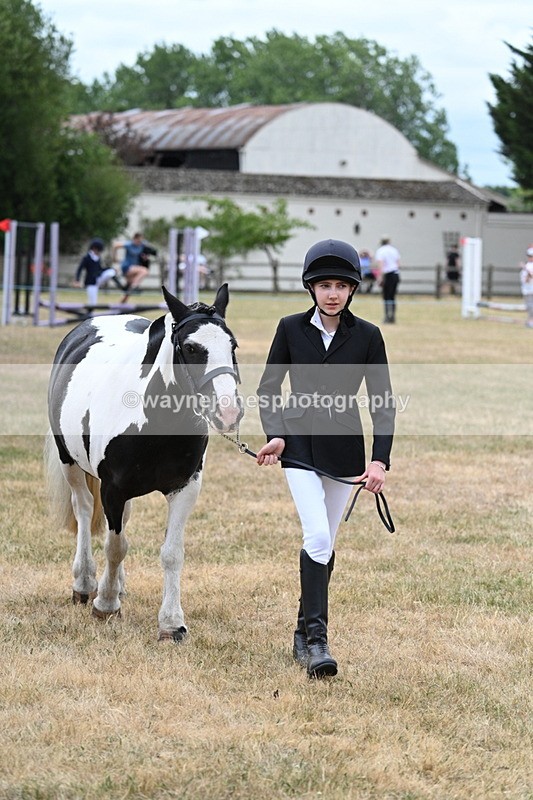 WJ7_1428 - Class 4 Prettiest Mare up to 14.2hh in hand
