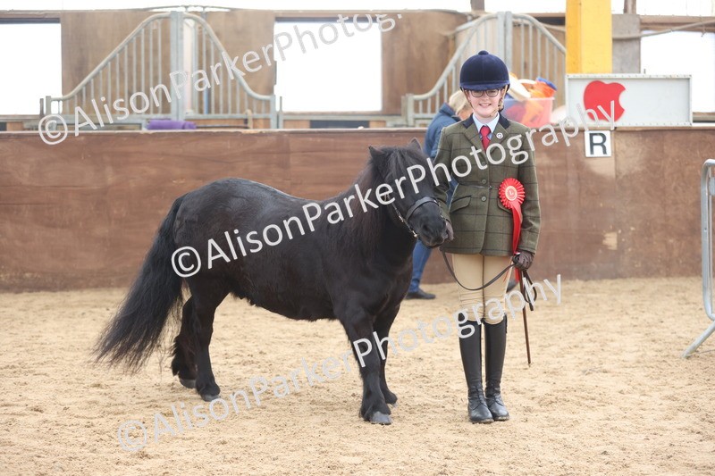 20251109-0160 - Class 8 - Young Handlers