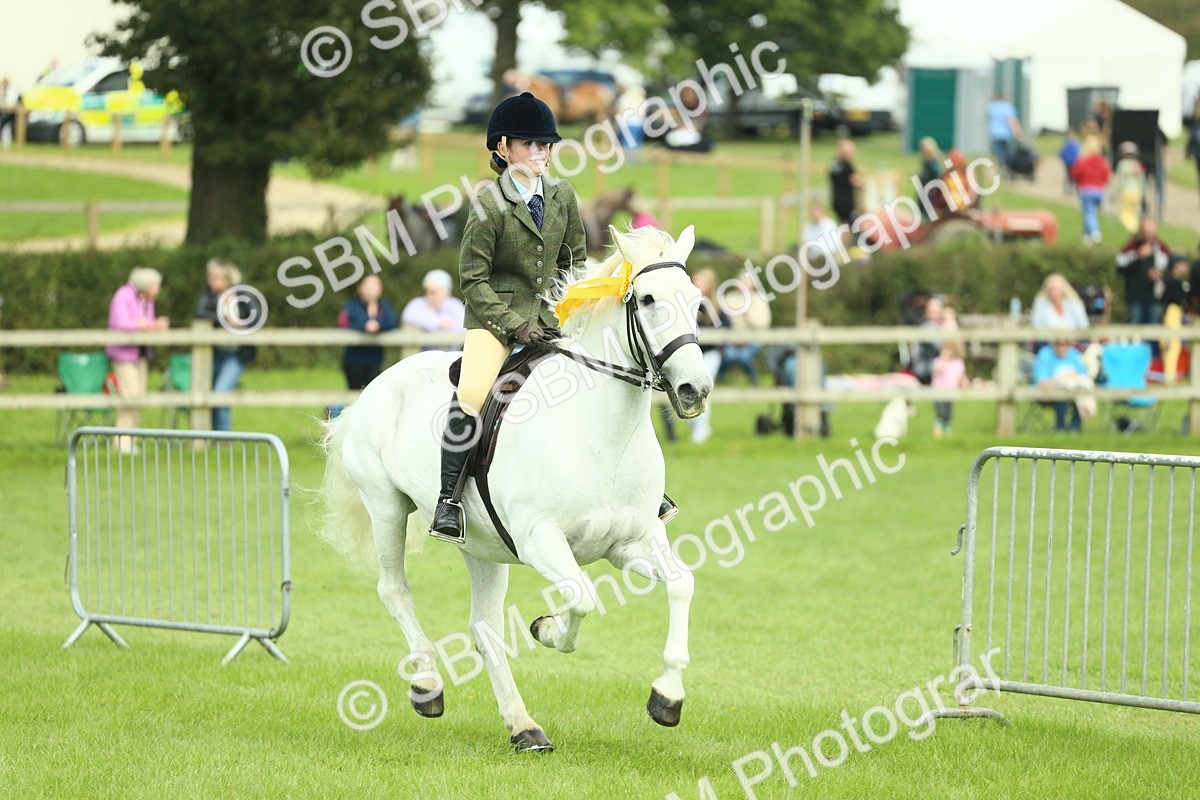 SBM_42251 - S29 - Novice & Newcomers Working Hunter Pony