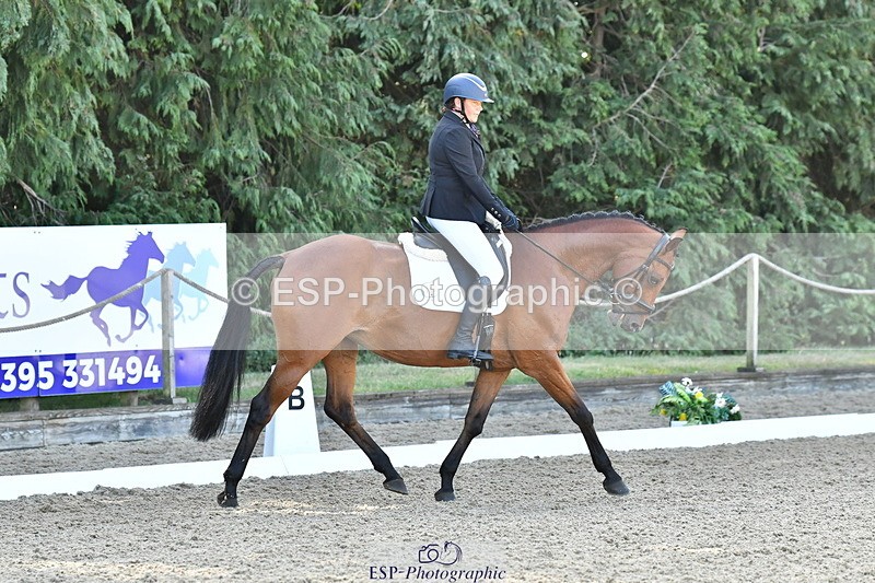 260801A-093200-04342 - Prelim Bronze Start - 11.35