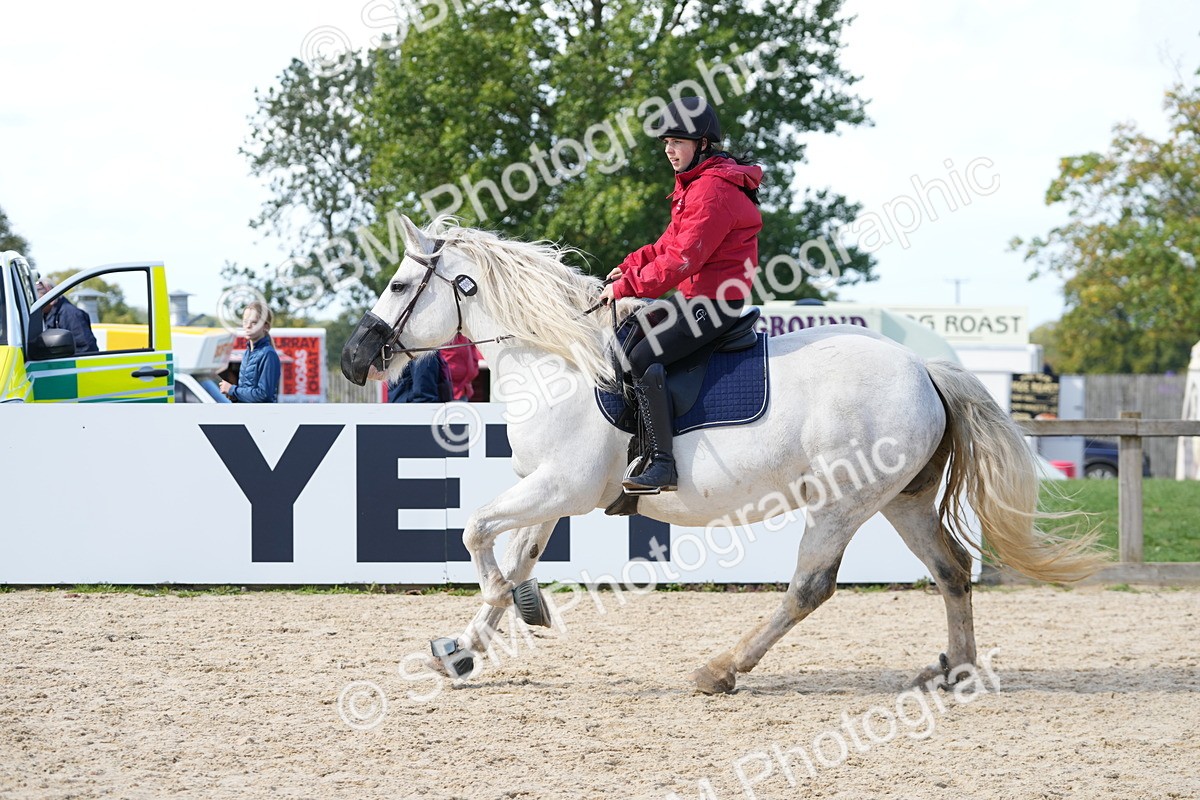 SBM_18110 - J58 - Clear Round 50cm