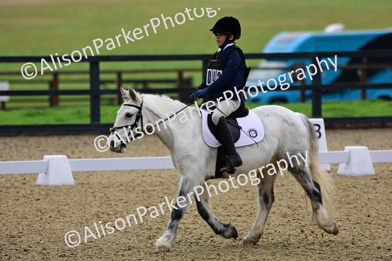 20260125-0517 - Class 9b - Walk Trot Unassisted