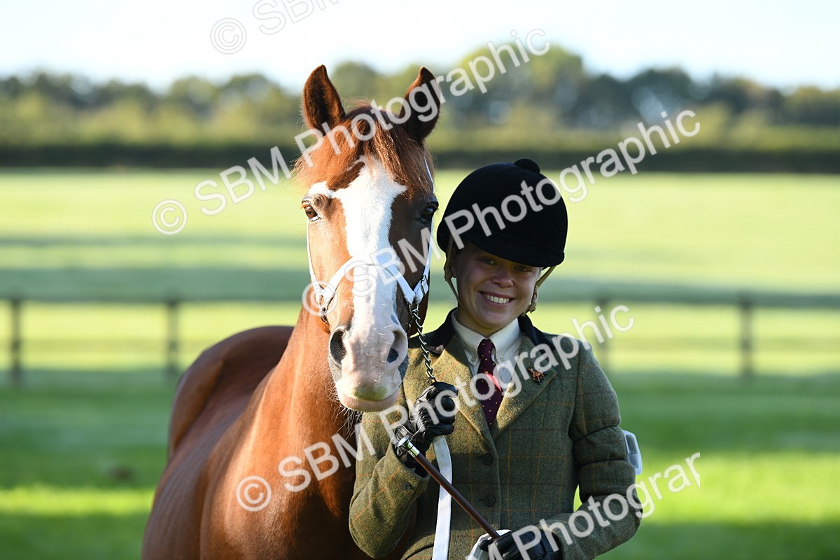 SBM_32811 - S15 - Condition & Turnout In Hand
