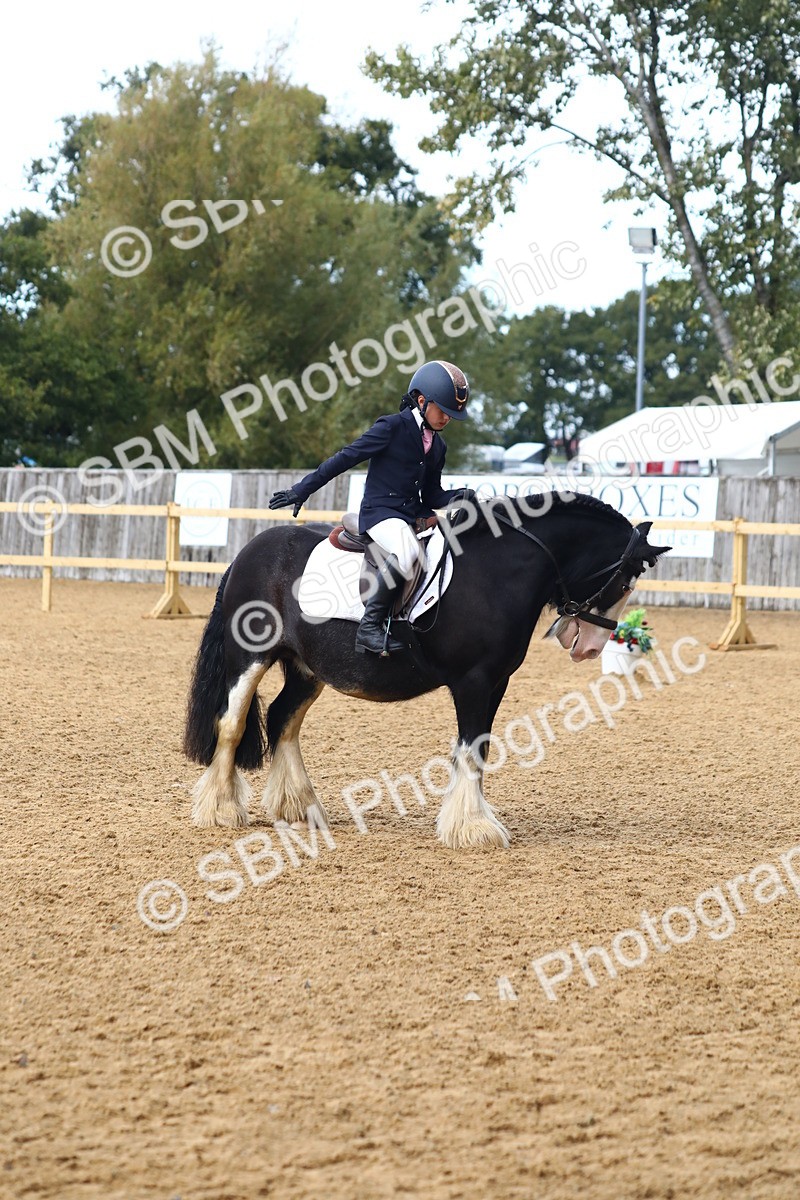 SBM_42606 - D21 - Junior Championship Intro 1