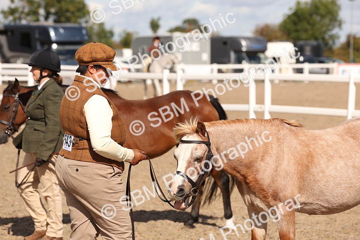 SBM_14125 - Class 207 - IH M&M