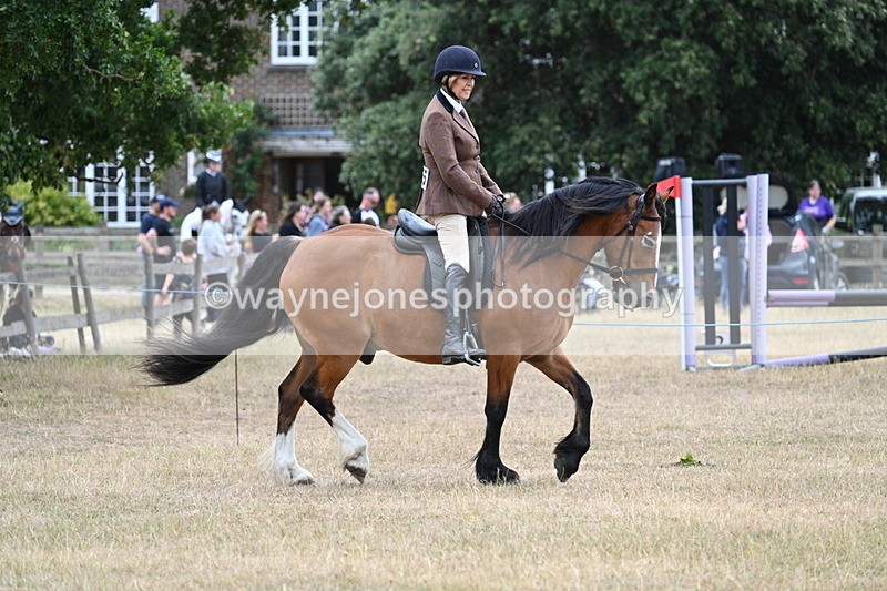 WJ7_0516 - Class 6 Ridden Mountain and Moorland