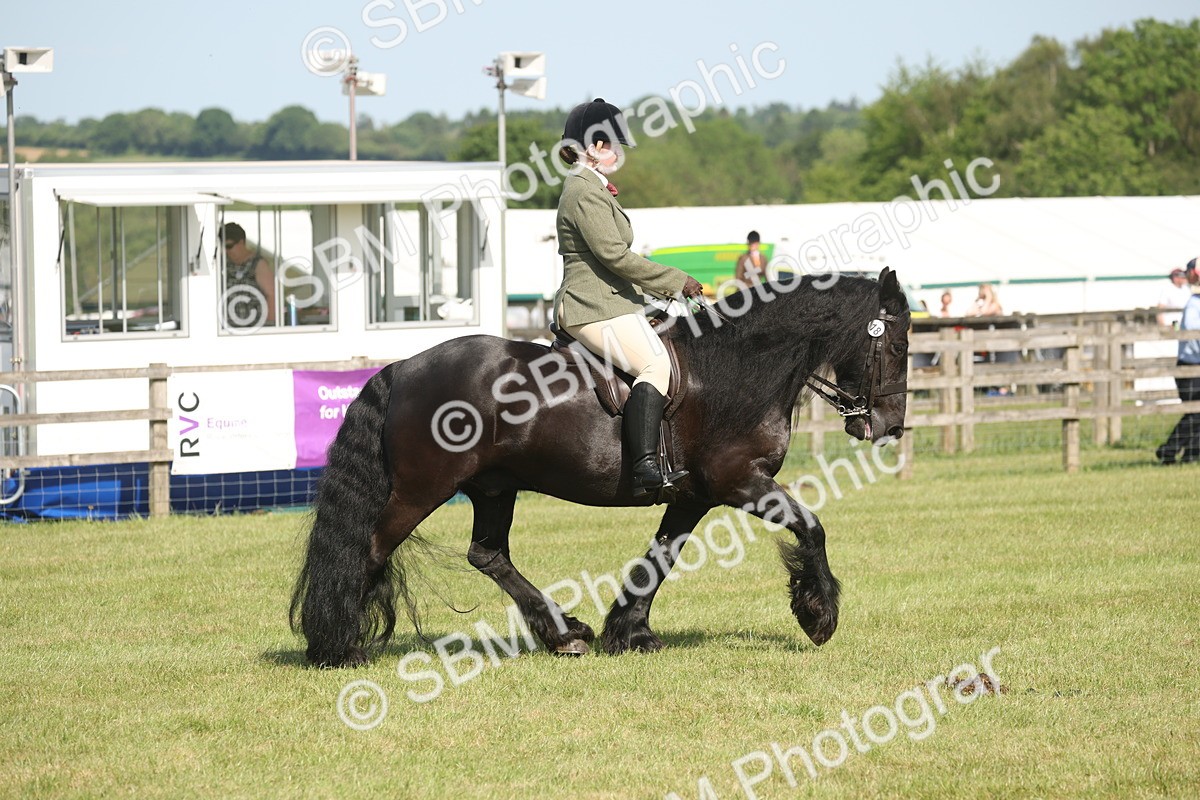 SBM_09561 - Class 33-38 - SSADL RIHS Qualifiers