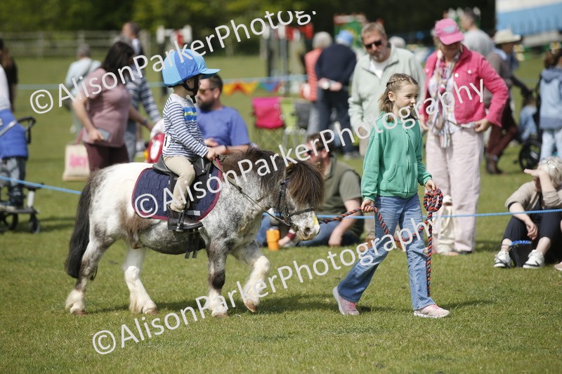 20260426-1825 - Class 7 - Pony Judge Would Most Like To Take Home