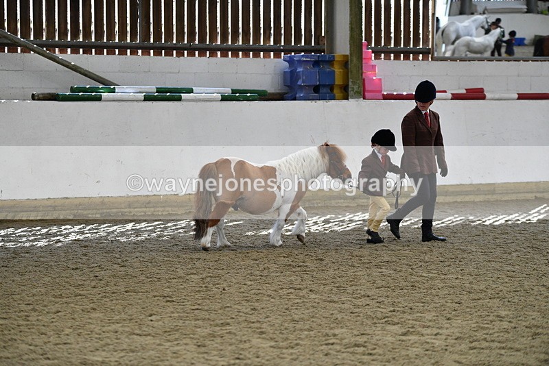 WJ5_4889 - Class 7 In hand coloured / odd coloured