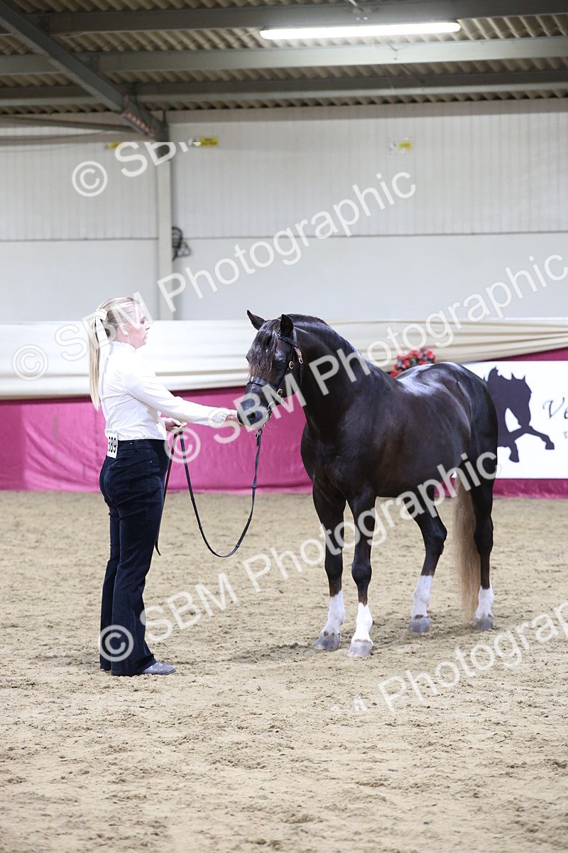 SBM_21100 - Class P - M&M Champs