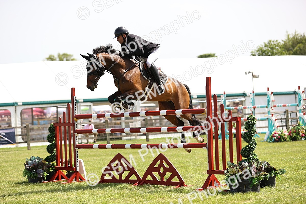 SBM_04033 - Class 201 - British Horse Feedds Speedi Beet HOYS Grade C