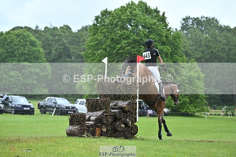 240526-134424-23068 - 443-FIGARO_DES_PREMICES-Alexander_Peternell