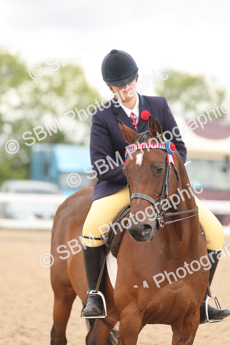 SBM_16076 - Class 311 - Ridden Show pony-Show hunter Pony
