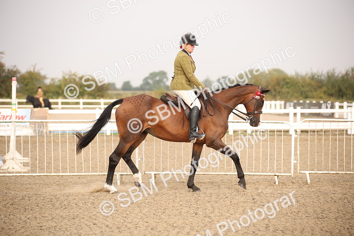 SBM_10197 - Class 402 Riding Club Horse