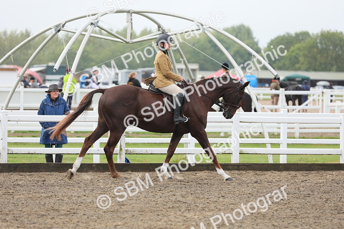 SBM_21351 - Class 805 - Ridden Veteran Horse