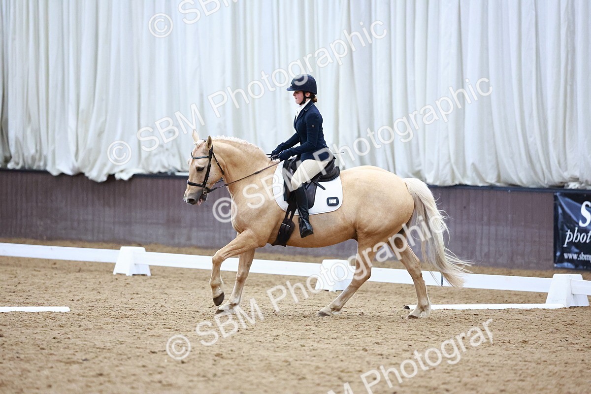 0B8A8308 - Class 5 - Novice 2