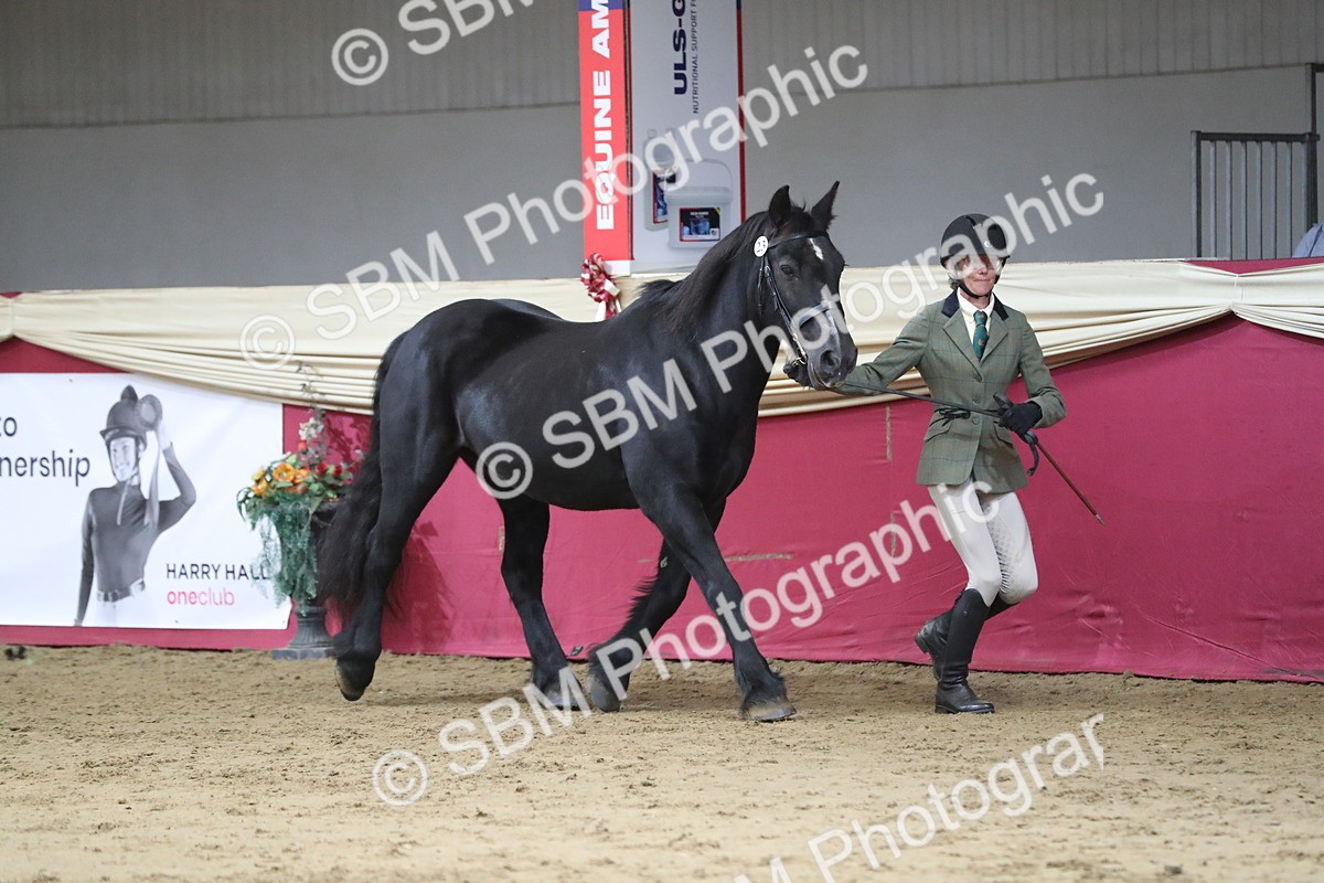 SBM_04965 - Class 8R- Regional -IH Veteran