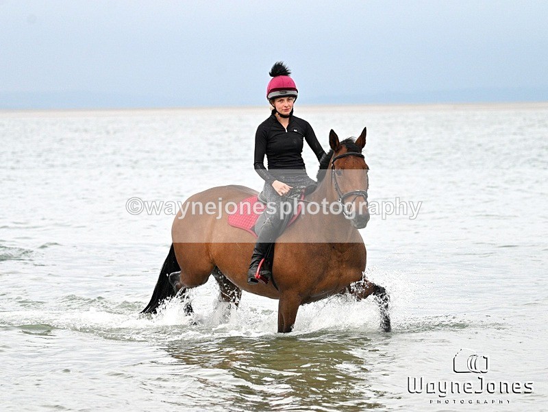 WJ7_9552 - Hayling Island Beach Shoot 22-09-24