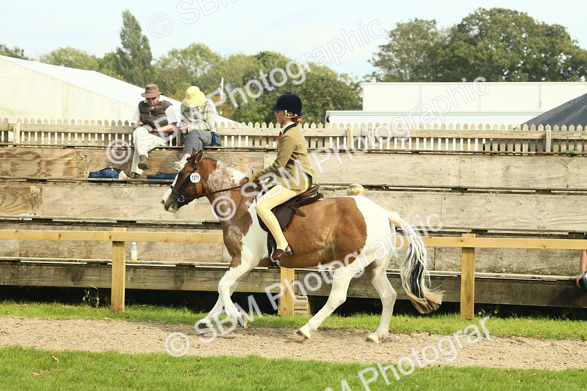 SBM_68117 - S57 - Part Bred Pony Ridden