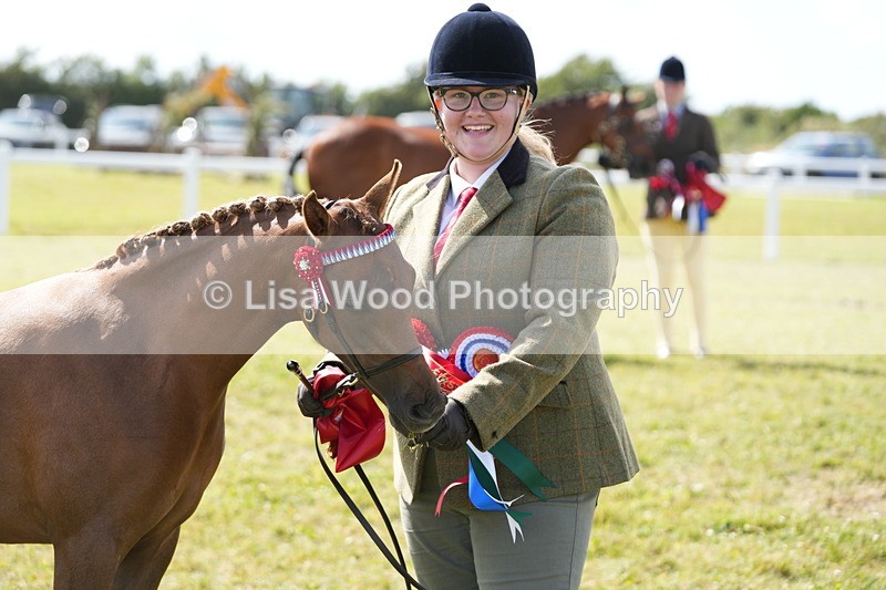 DSC07518 - Pony Breeding Championship